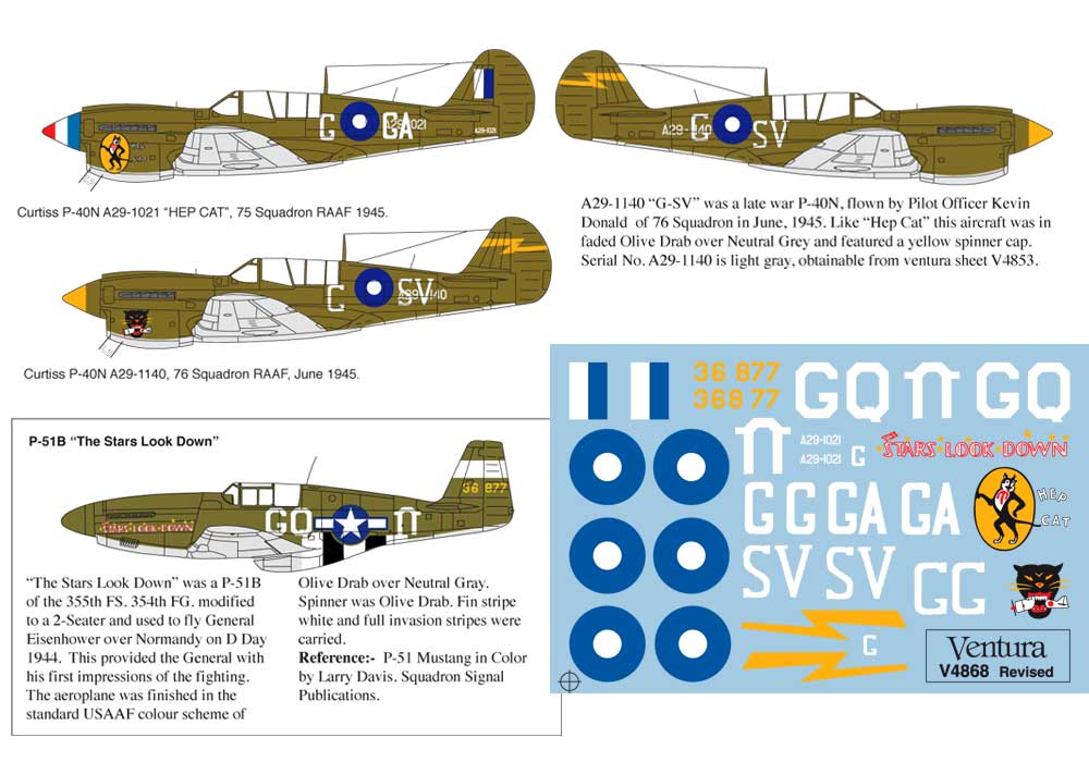 V4868: RAAF P-40s and Eisenhower\'s two Seat P-51